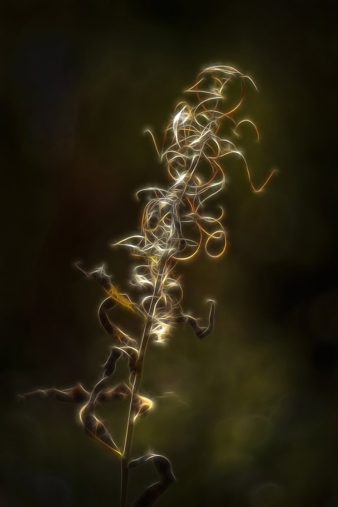 Былинка-травинка....