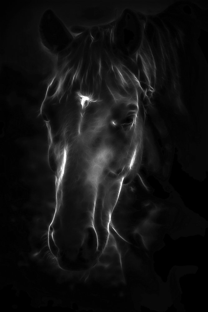 Доверчивый взгляд....