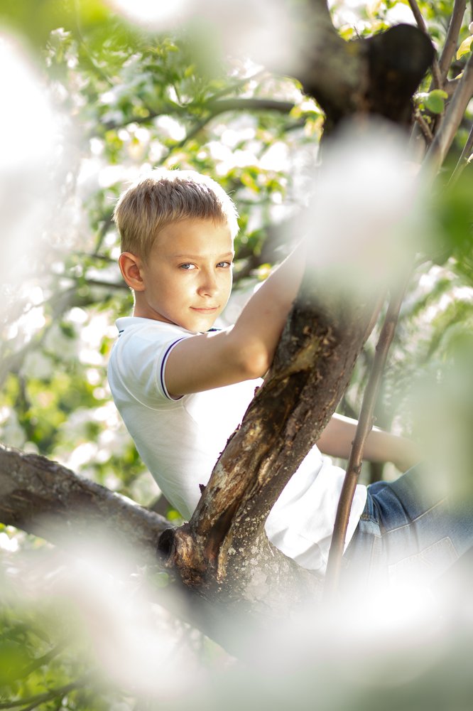 Сквозь тернии...