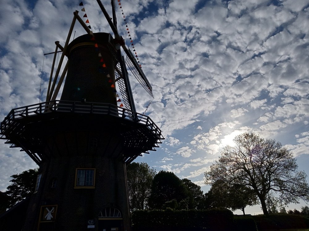 Old windmill