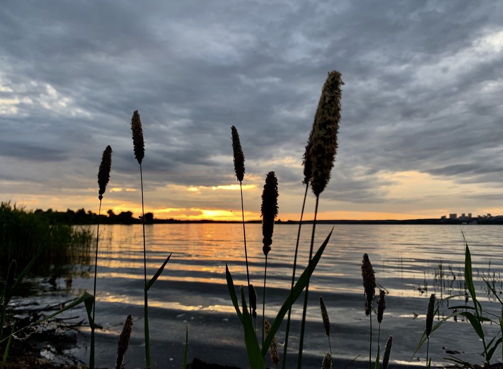 Photograph by Елена Мормоль