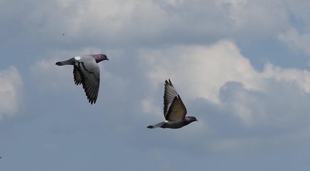 Photograph by Андрей Шартов