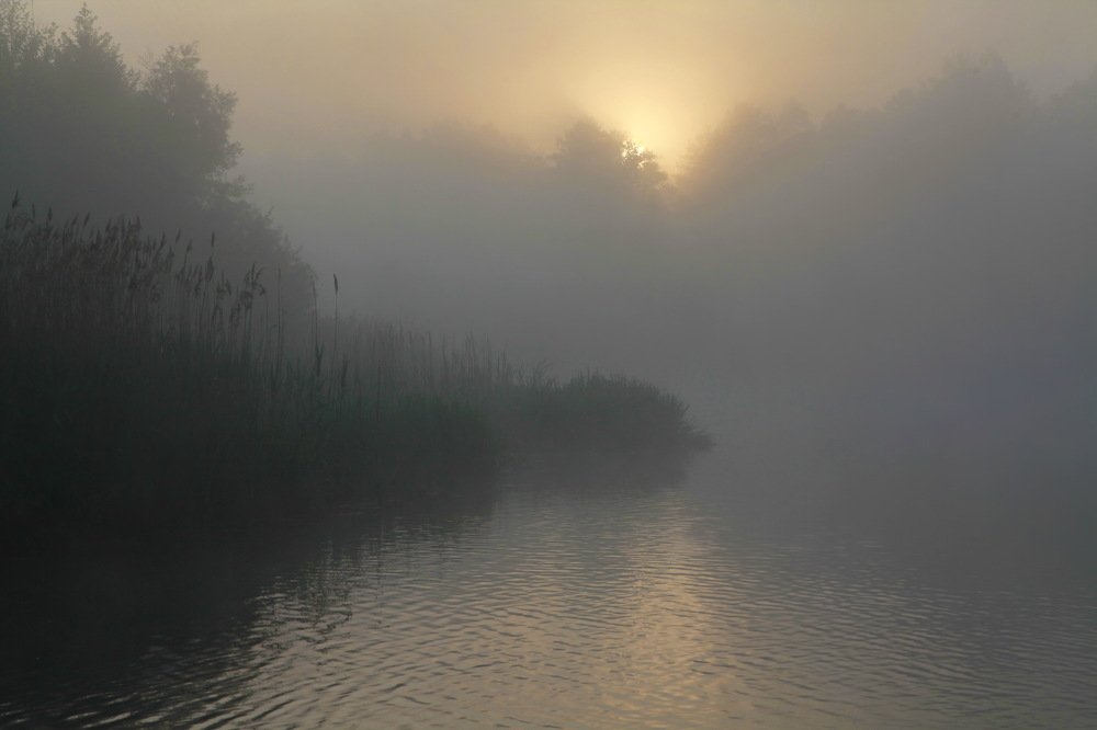 Утро в Седневе