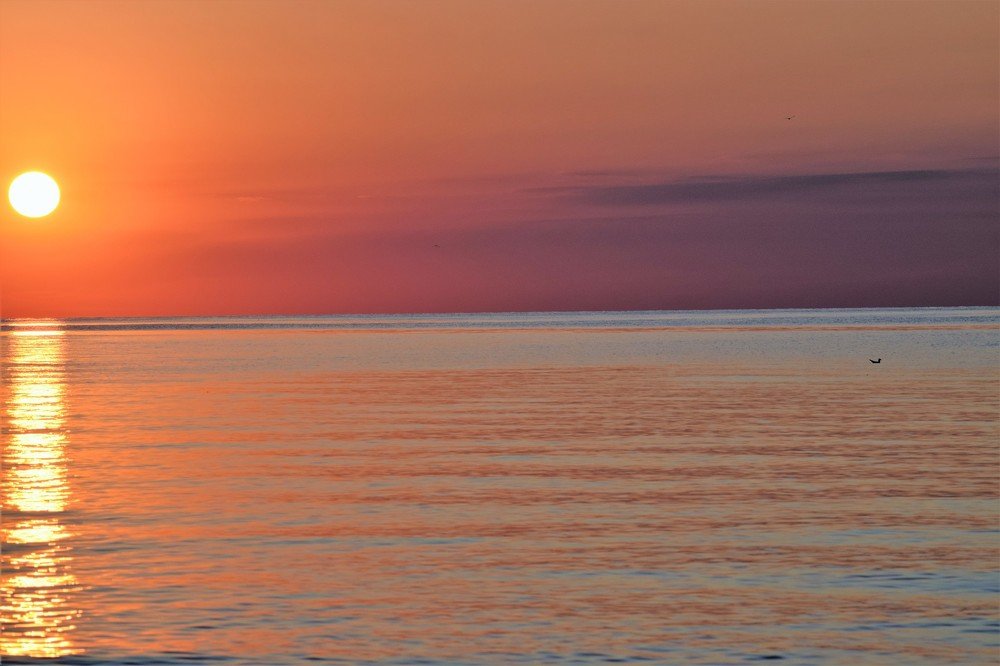 мечты о будущем