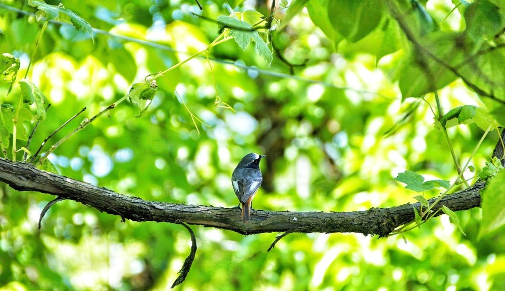 Photograph by Giga Kokoladze