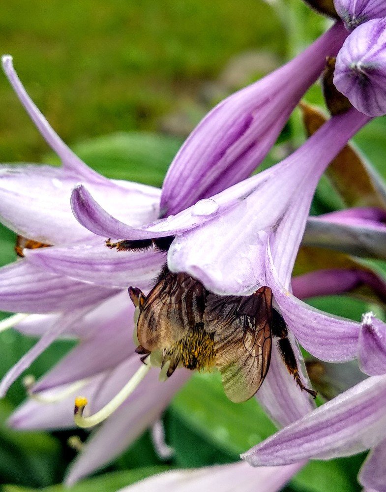 Photograph by Татьяна