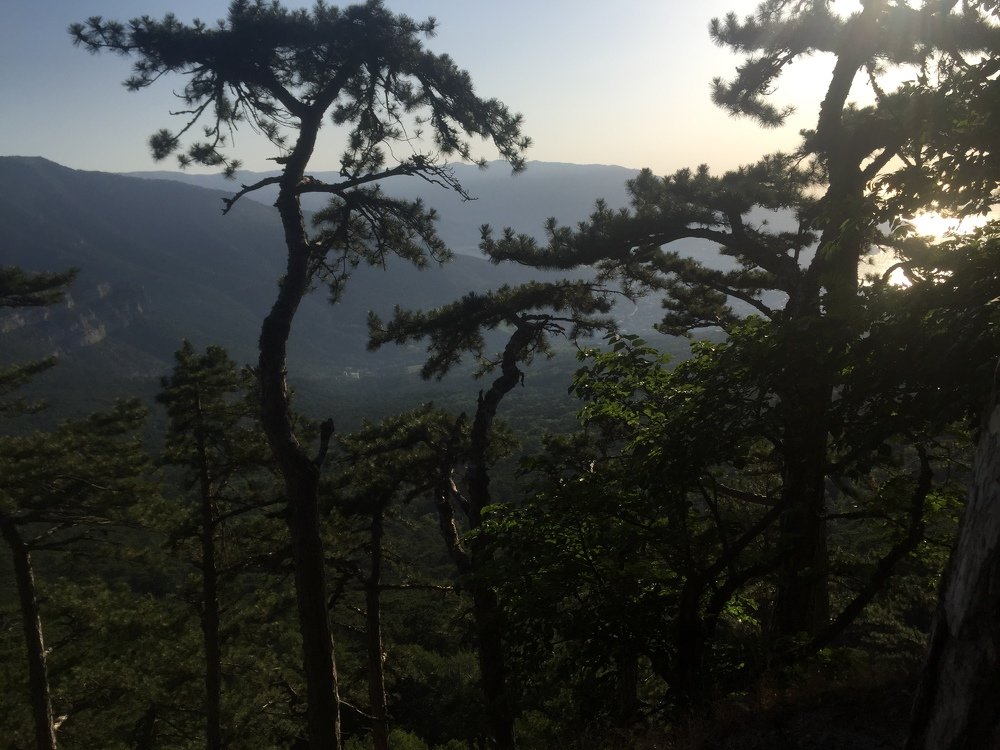 Природа Крыма