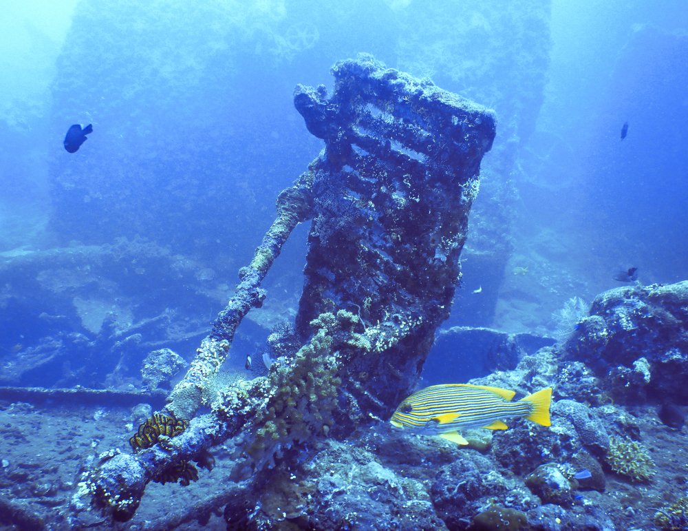 Photograph by Ксения Рыбка