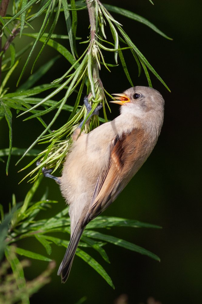 Photograph by Alexander Varakosov