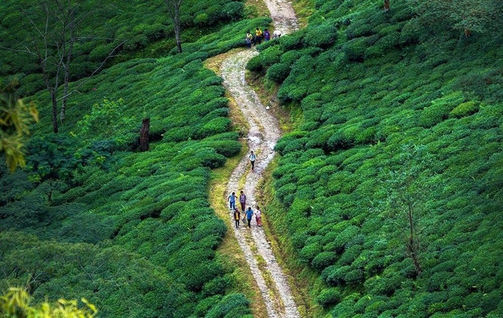 Travel to destination