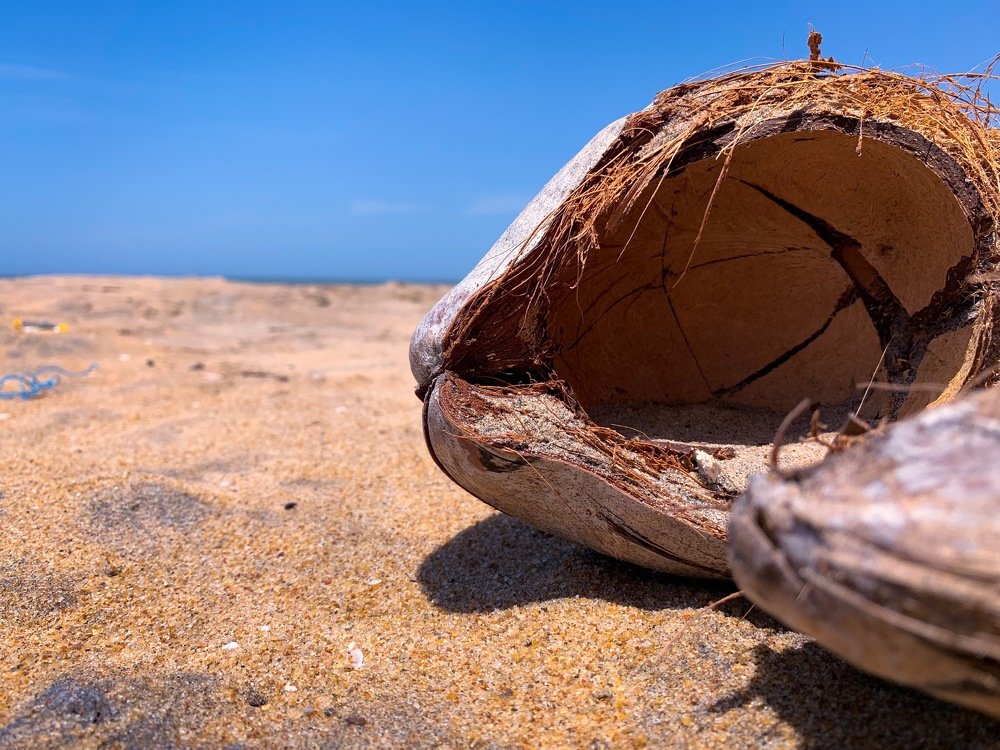 Coconut and water