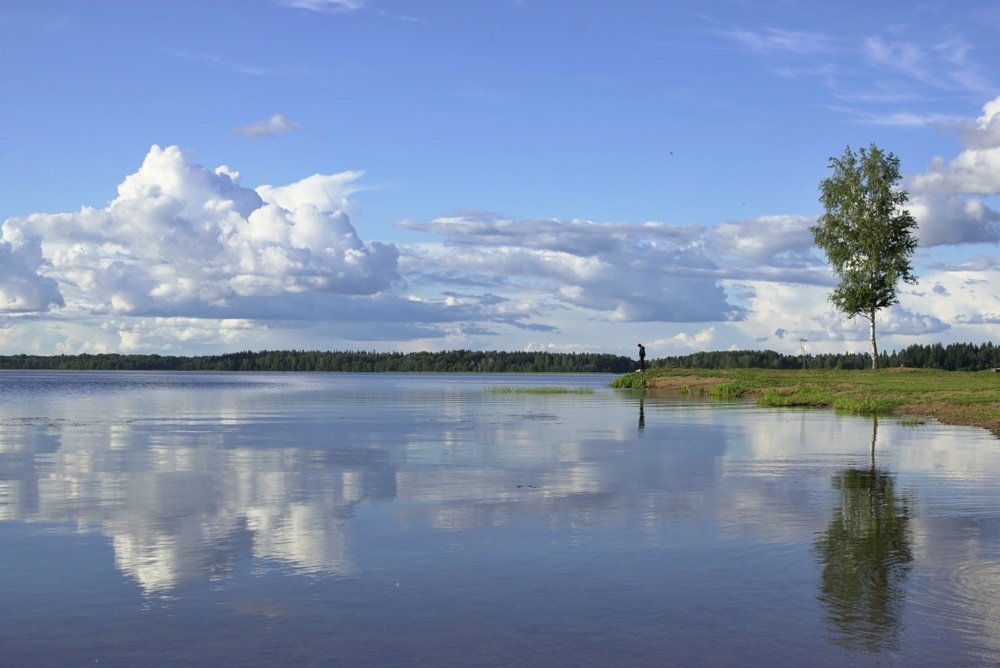 Глядя на дно