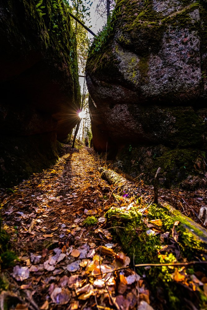 Дикие столбы