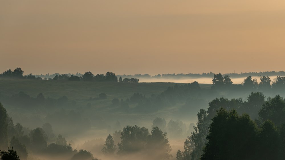 Photograph by Михаил Рогачев