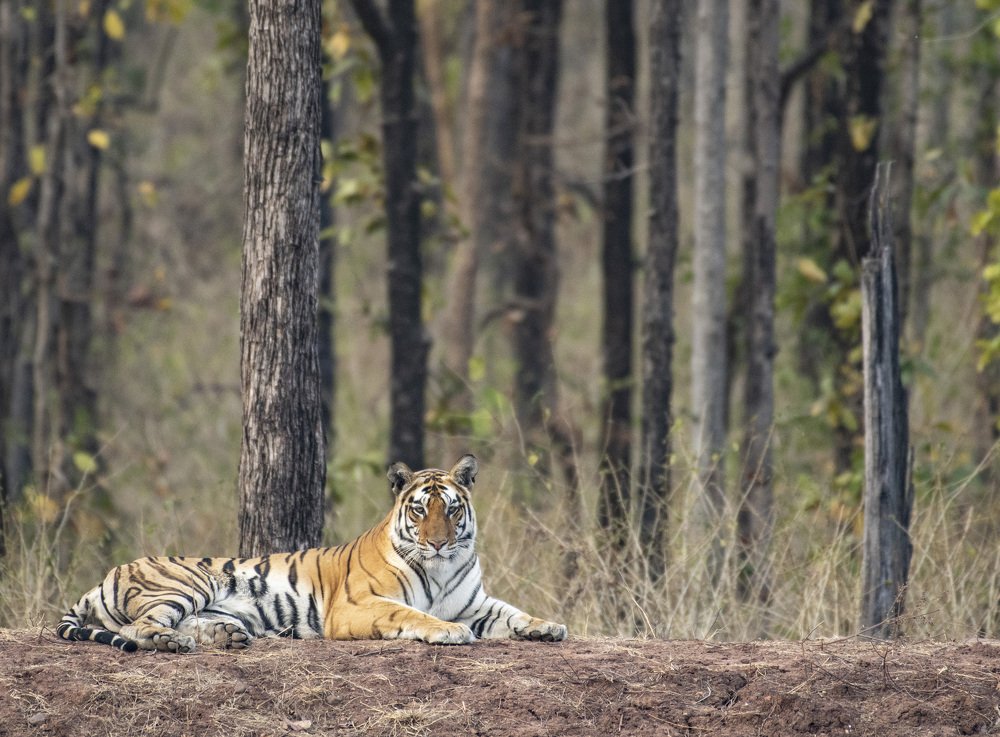 SURVIVING ON THE EDGE!