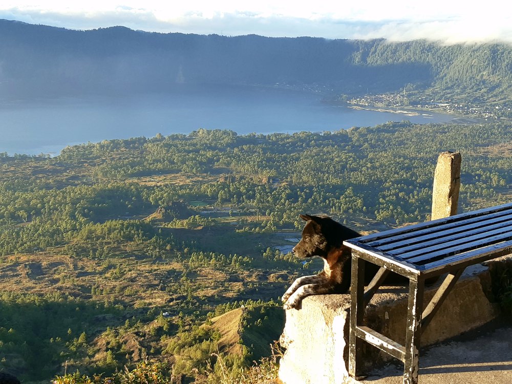 Start the Day with Peacefulness