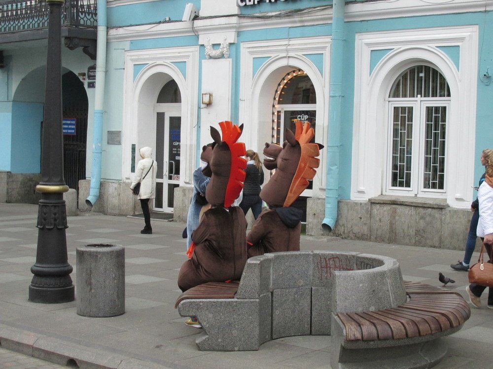 Лошадиные посиделки.