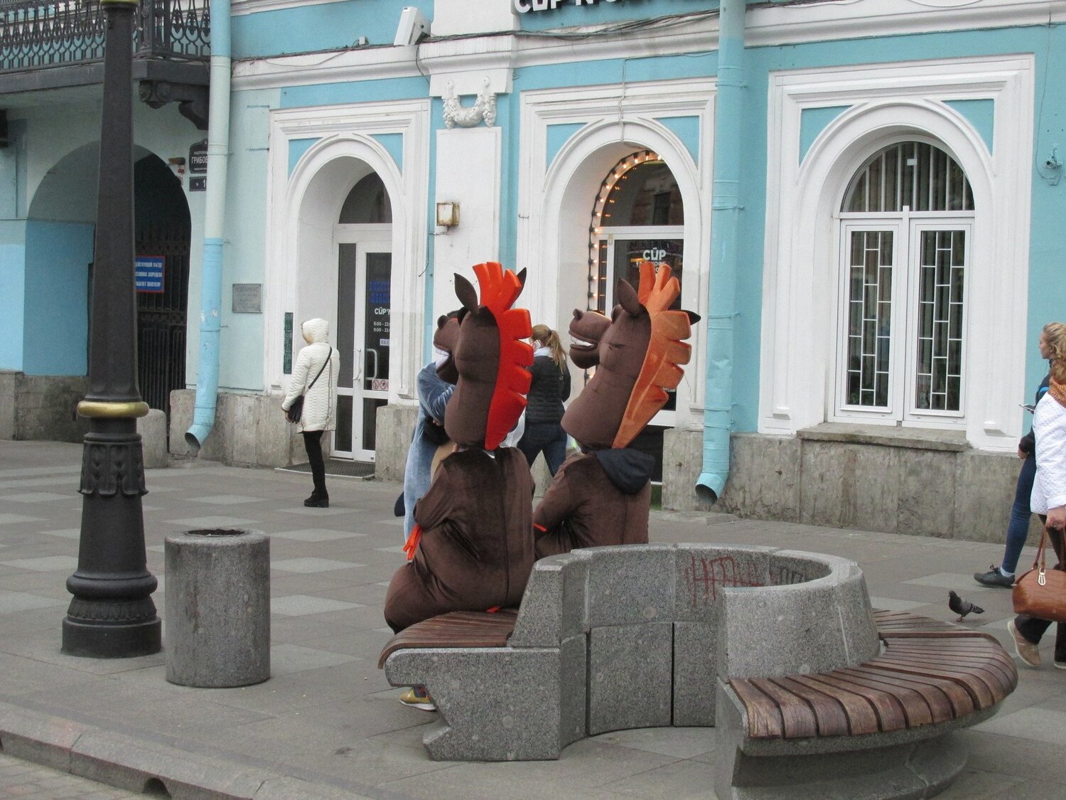 Лошадиные посиделки.