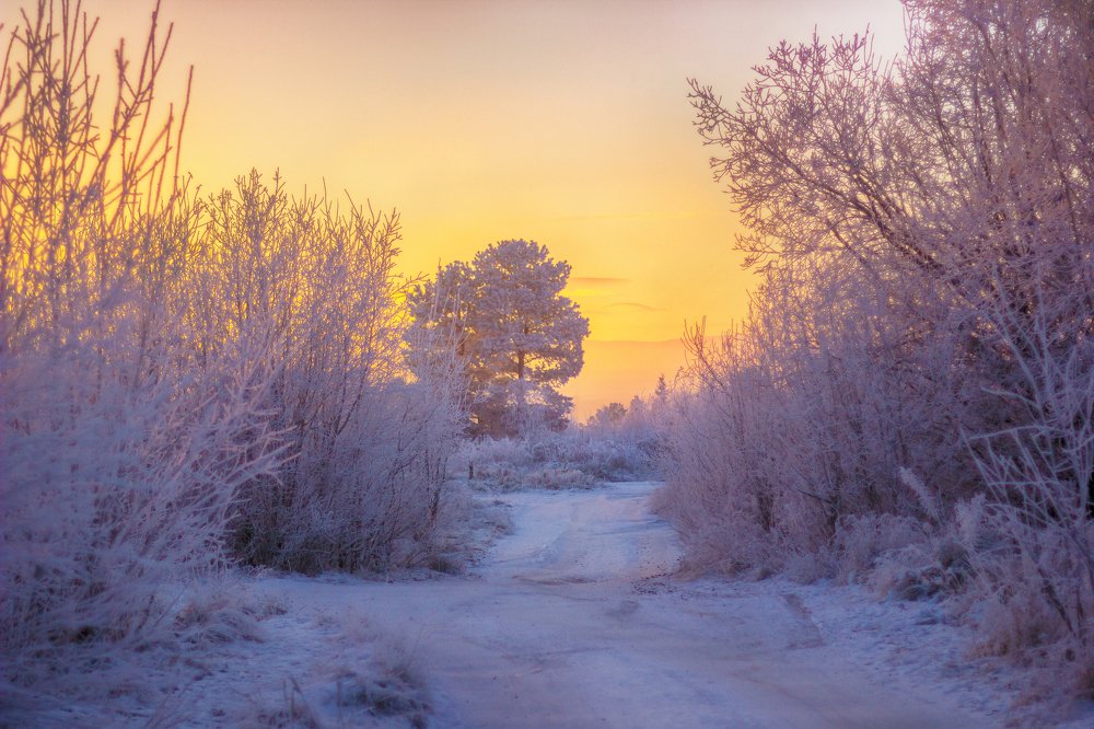 Photograph by Яна Алекперова