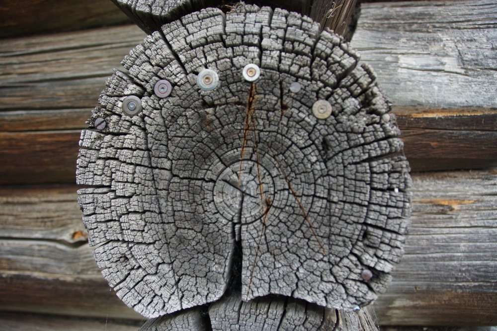 Photograph by Андрей Елькин