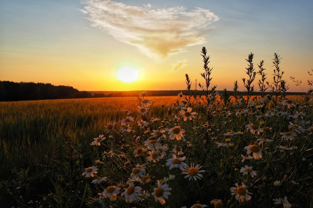 Photograph by Ирина