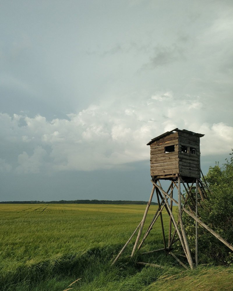 Домик охотника