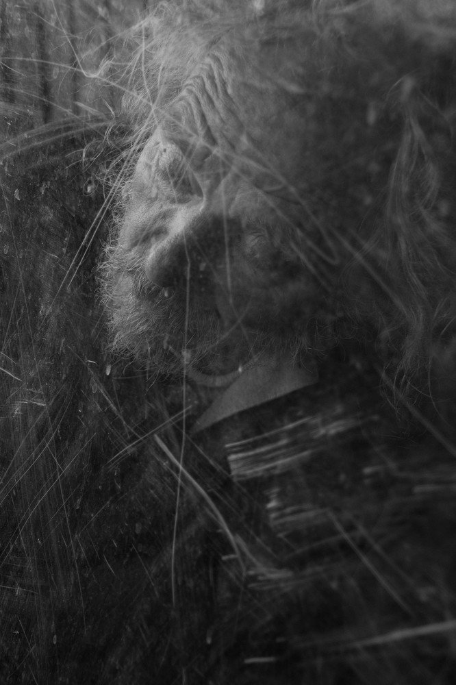 Photograph by Susanne Larsen