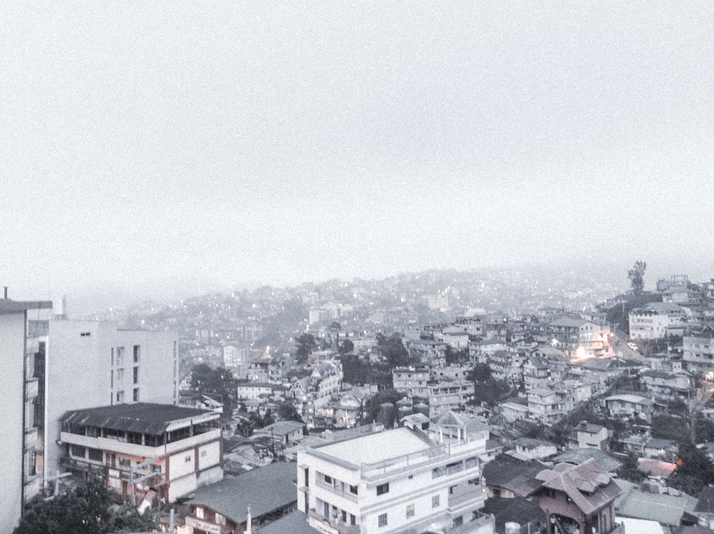 Photo #3378831