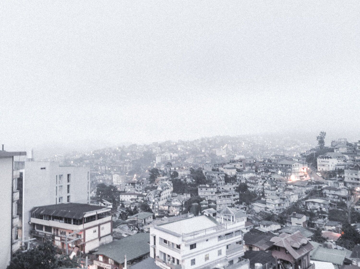 Photo #3378831
