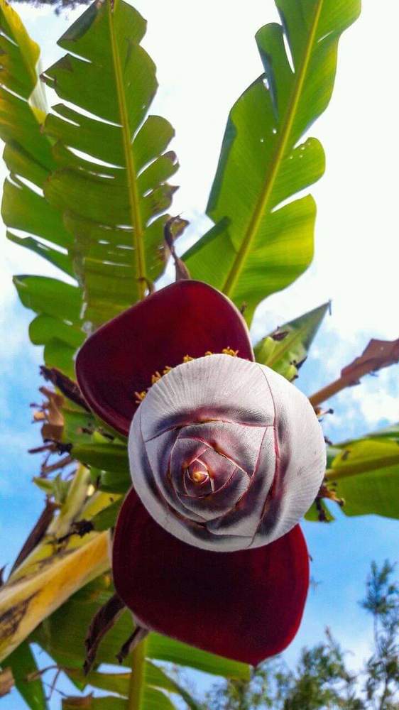 Photograph by priya thakur