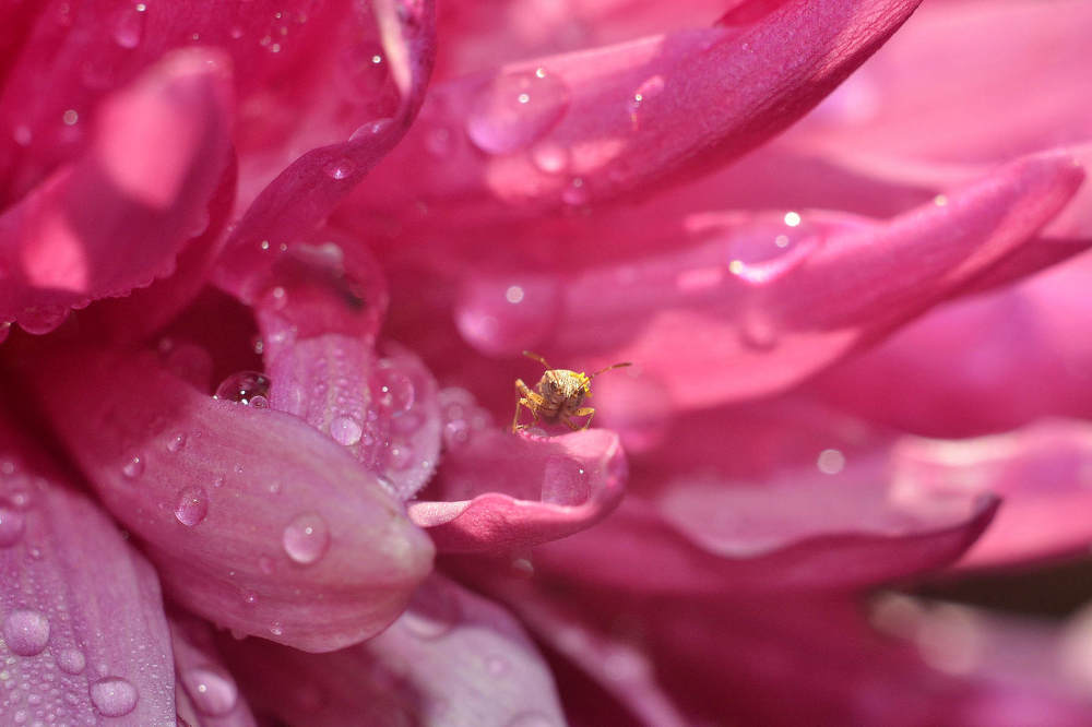 Photograph by Игорь Белоусов