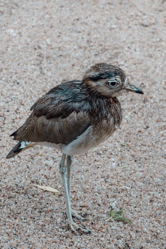 Photograph by Екатерина