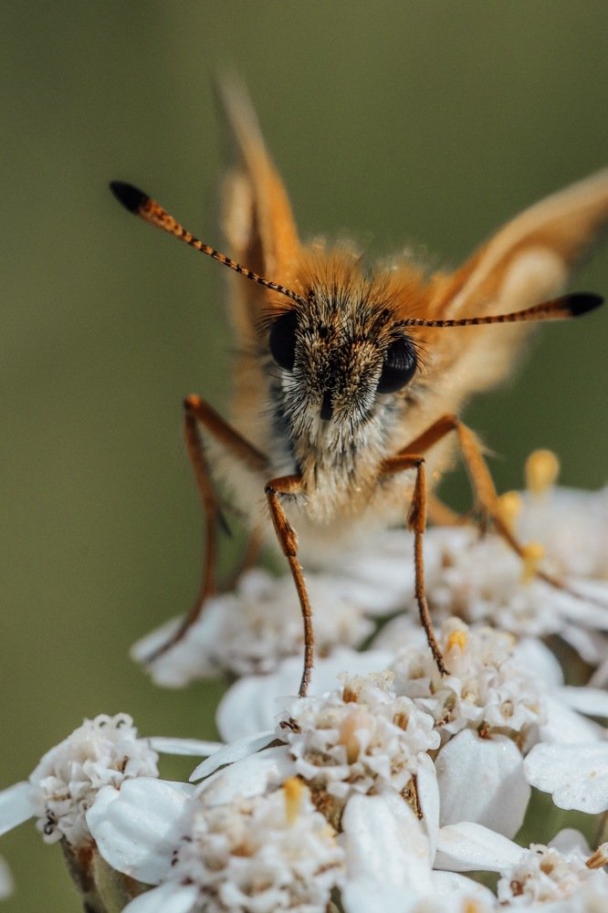 Photograph by Екатерина