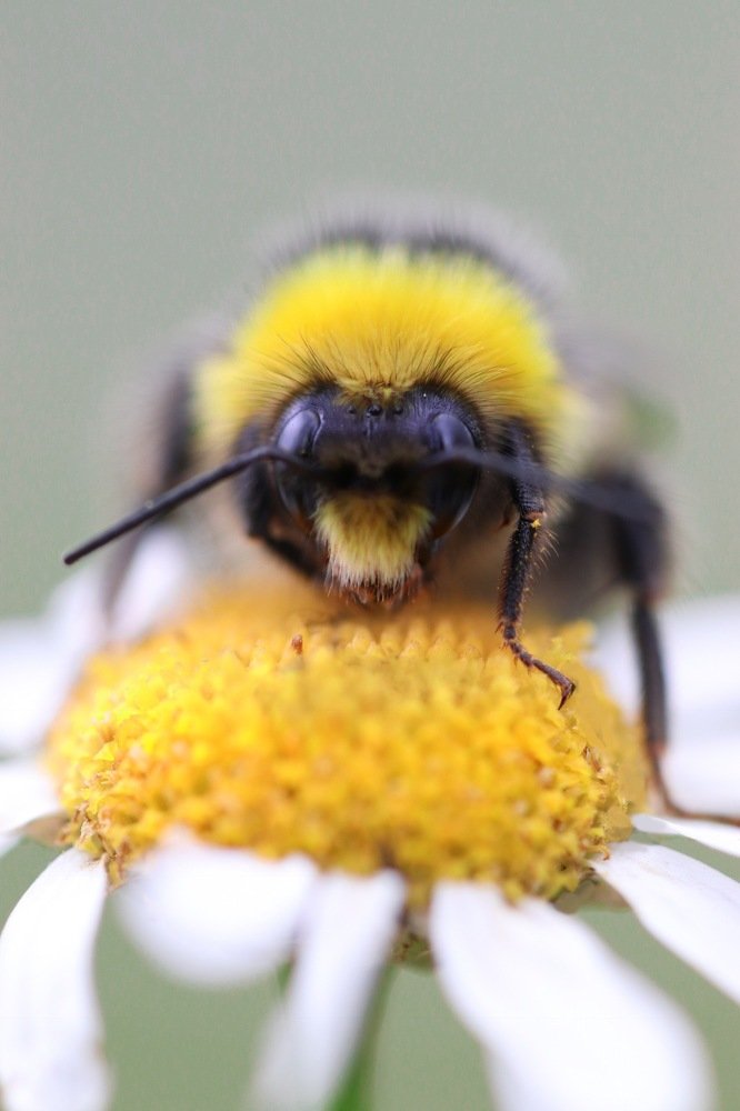 Photograph by Екатерина