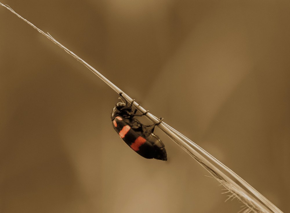 It's just me that's all I need.