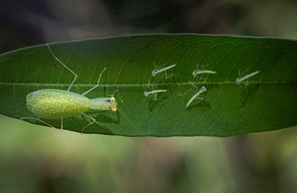 Taking care of the kids