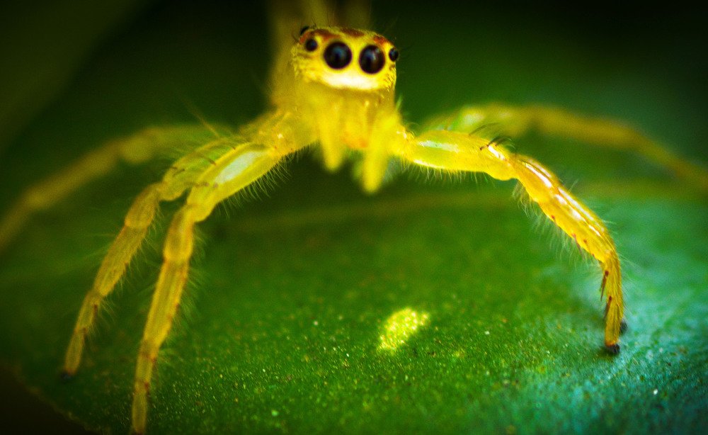 The mastermind is back !!!