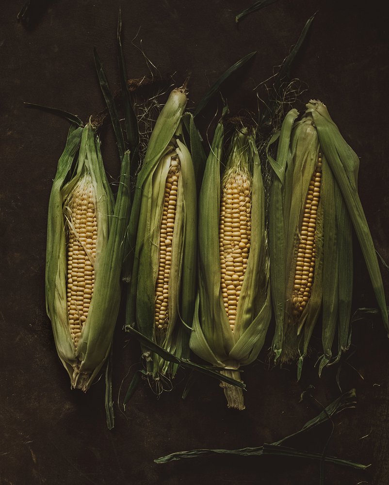 Photograph by Чернякова Анна