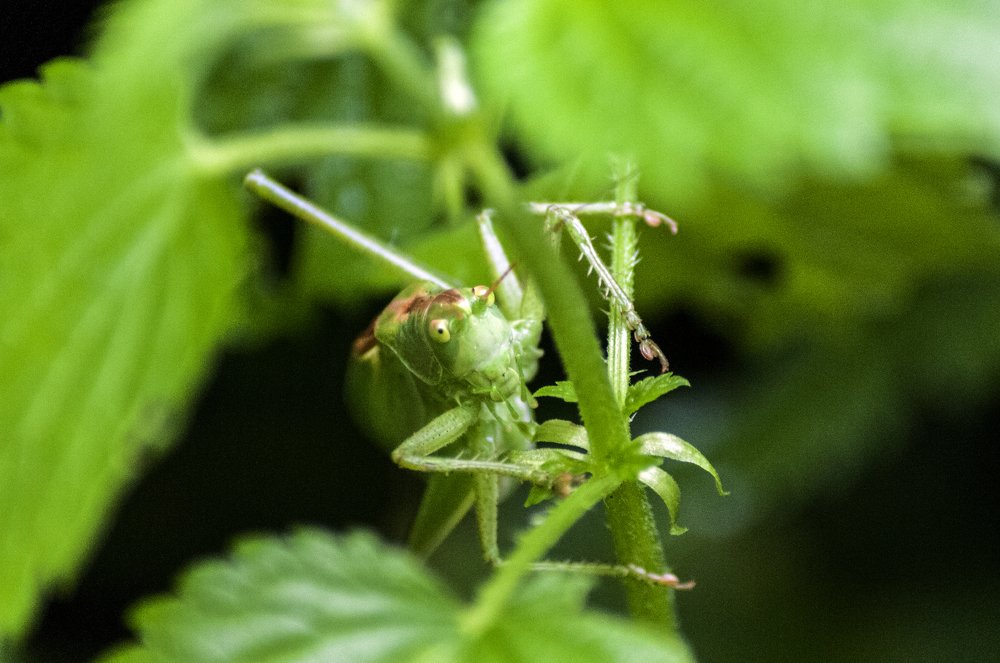 Photograph by Константин