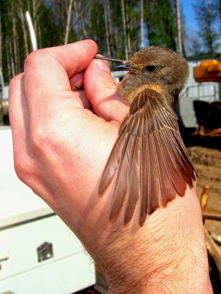 Привет, малыш!
