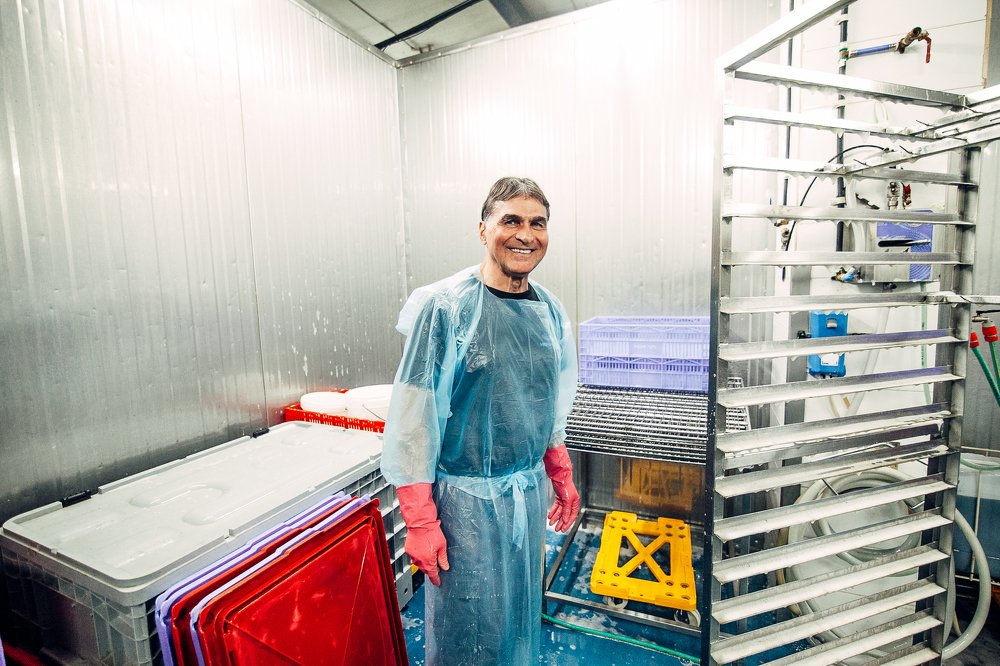 Рыбный завод