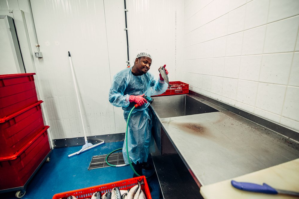 Рыбный завод