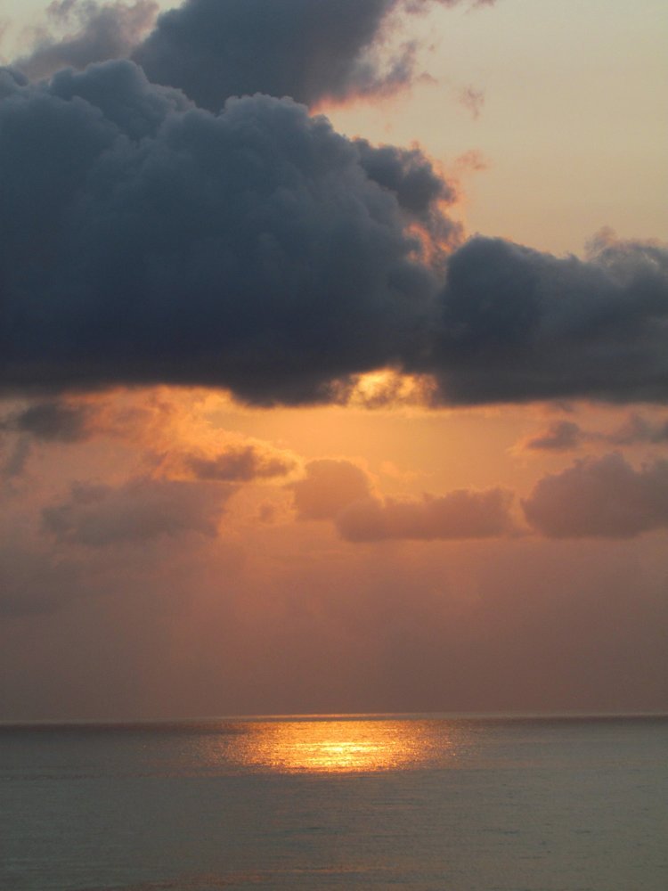 Photograph by Елена