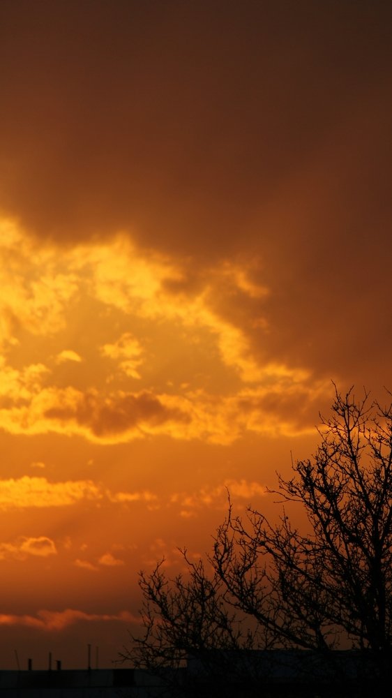 Photograph by Matineh Ahmadi