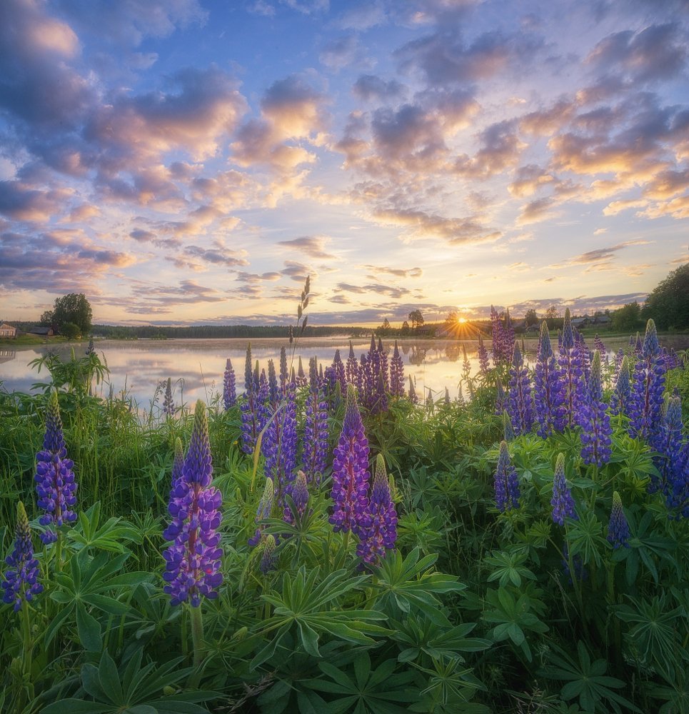 Photograph by Устюжанин Михаил