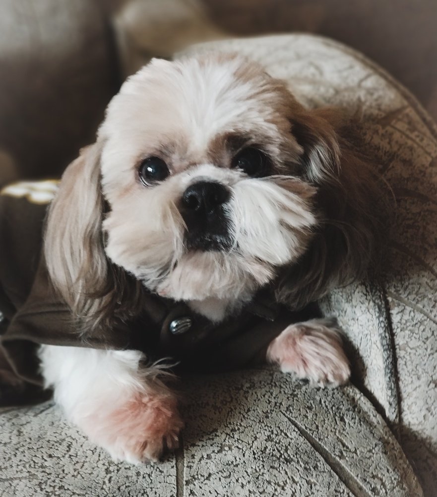 Я у "мамы" семнадцатый...