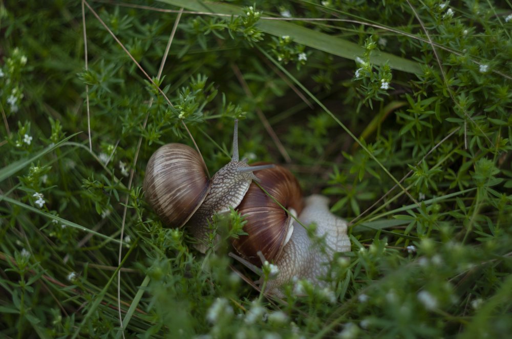 Photograph by Дэвид