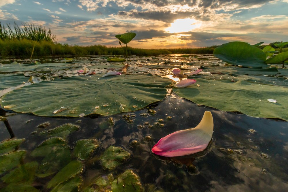 Photograph by Алексей Кашин