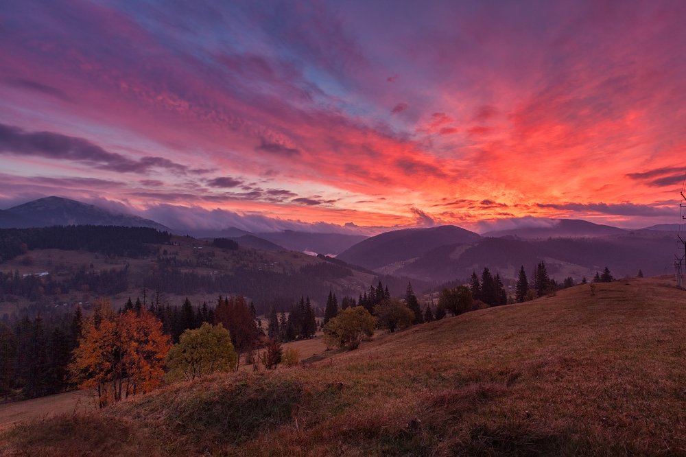 Photograph by Ольга Максимова