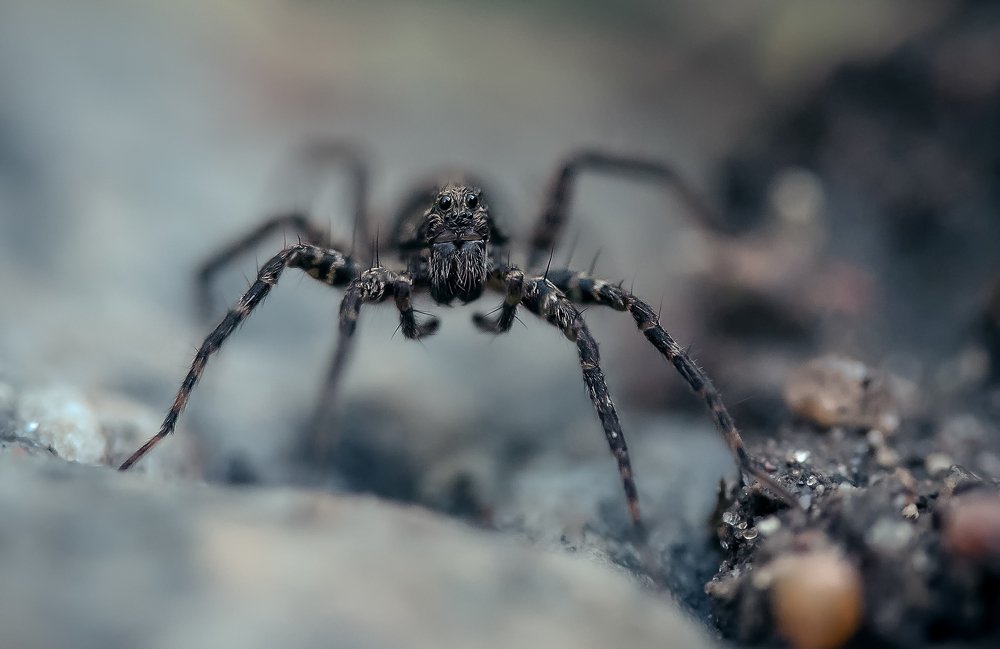 Photograph by Рут Андрей